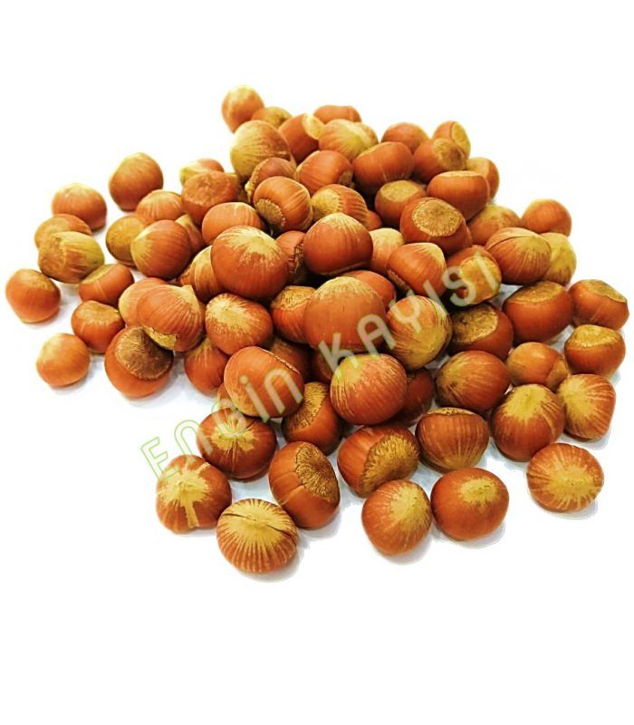 Kabuklu Fındık
